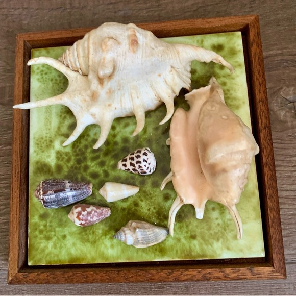 Framed Oceanside Wall Decor Seashell - Picture 10 of 10